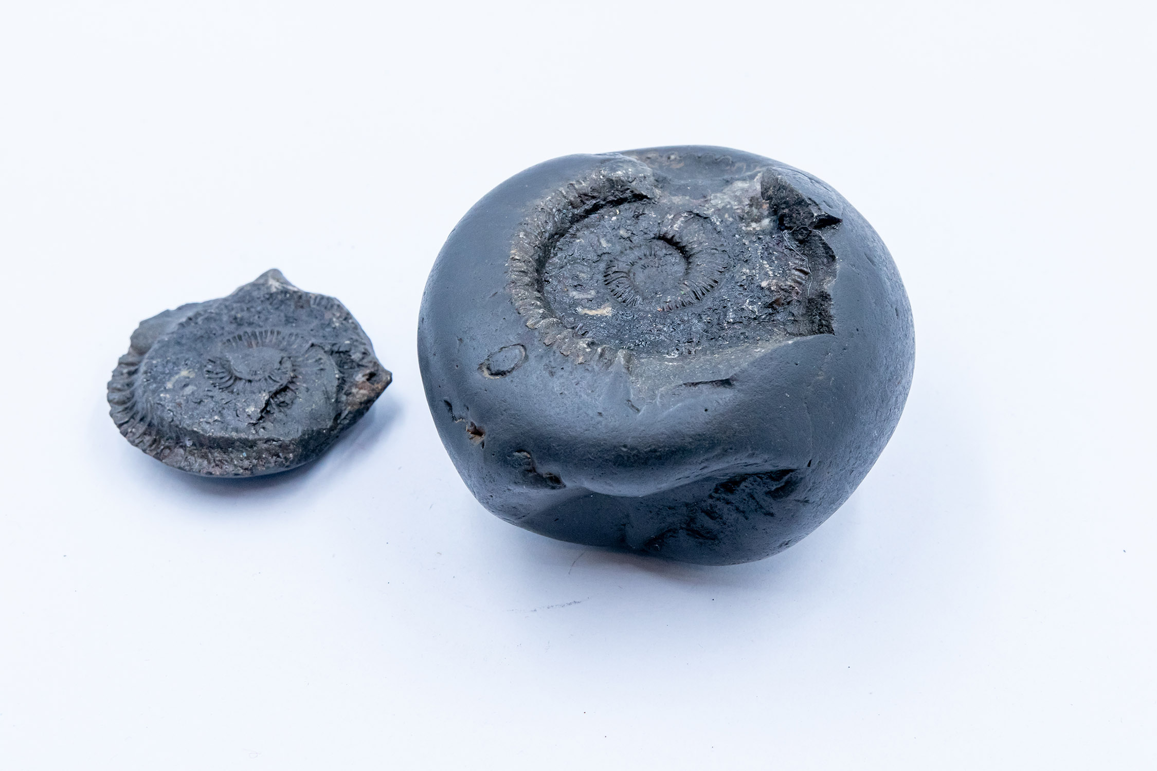 Shaligram